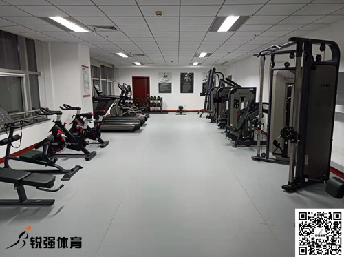 济南某集团采购的旺财28提供的健身器材