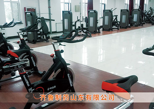 ​旺财28为齐鲁制药呼和浩特分公司打造健身房