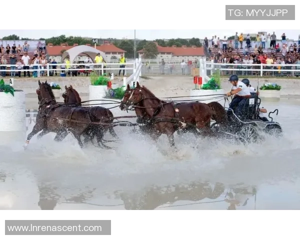 今日体育快讯：转会动态伤病更新战报分析全方位呈现